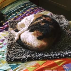 Meet your Posher, Jacqui